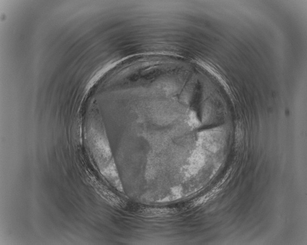 X0000087050925200705091132