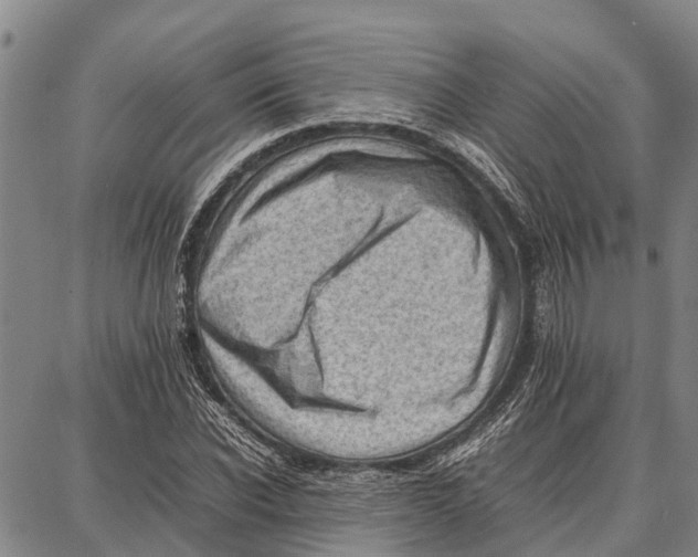 X0000087050926200705091132