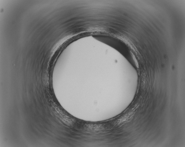 X0000087050927200705091132