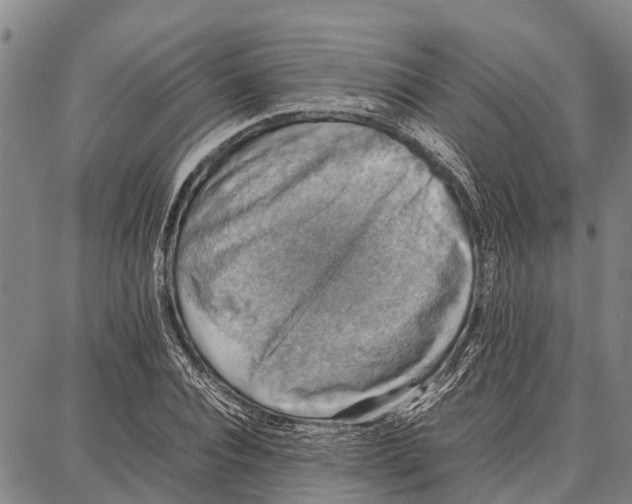 X0000087050928200705091132