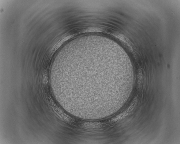 X0000087050929200705091132