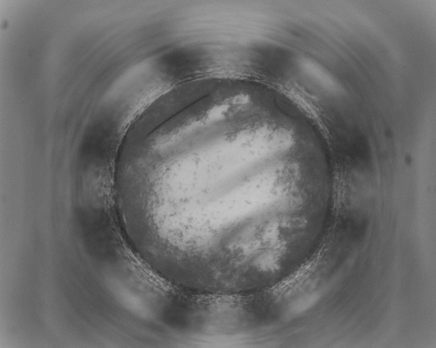 X0000087050930200705091132