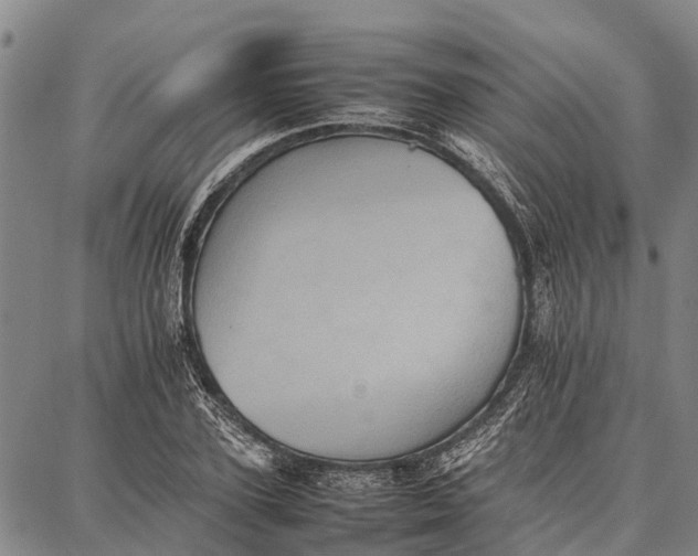 X0000087050931200705091132