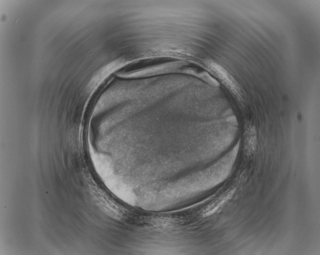 X0000087050932200705091132