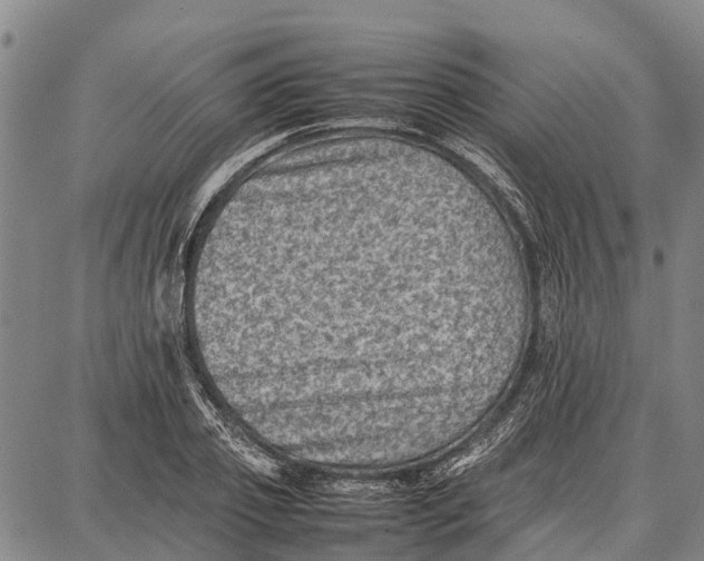 X0000087050933200705091132