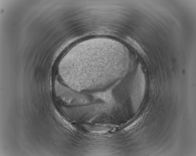 X0000087050934200705091132