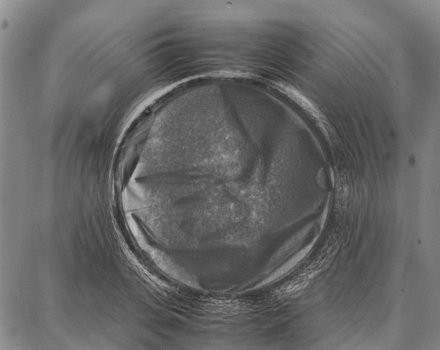 X0000087050935200705091132