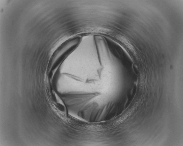 X0000087050936200705091132