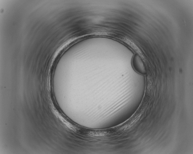 X0000087050939200705091132