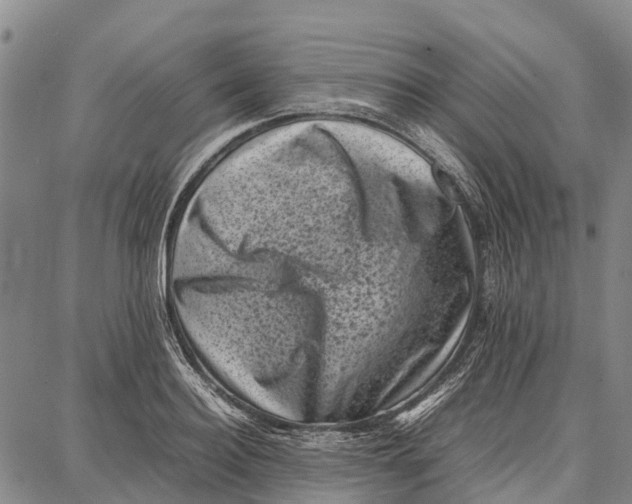 X0000087050940200705091132