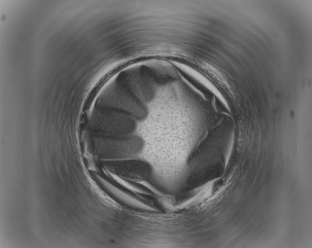 X0000087050942200705091132