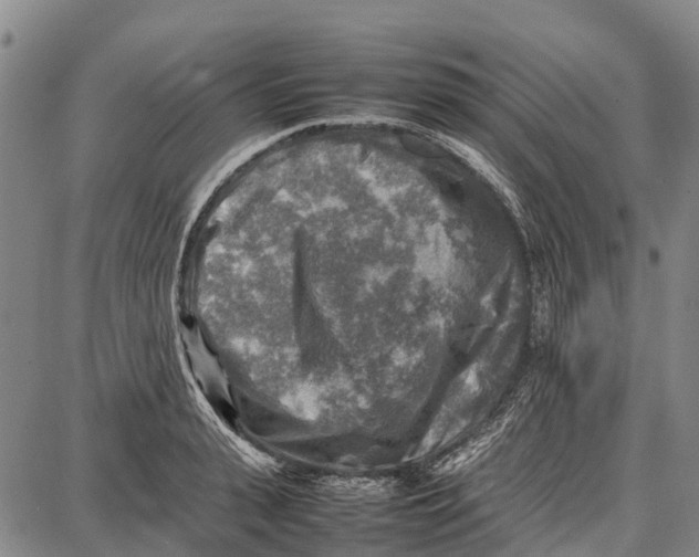 X0000087050943200705091132