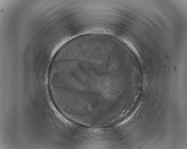 X0000087050944200705091132