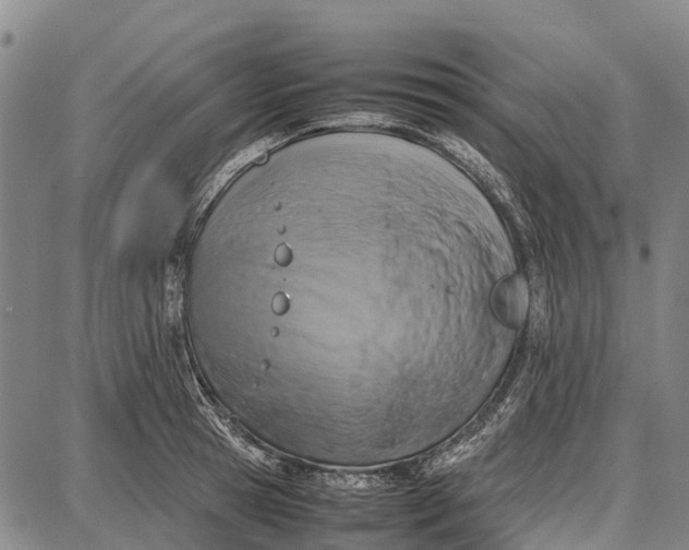 X0000087050945200705091132