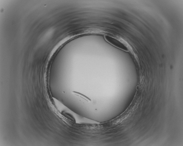 X0000087050947200705091132