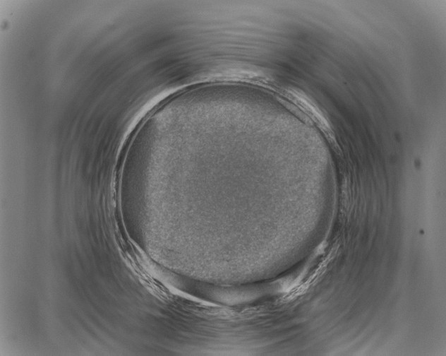 X0000087050948200705091132