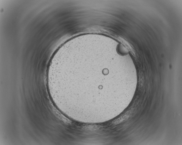 X0000087050950200705091132