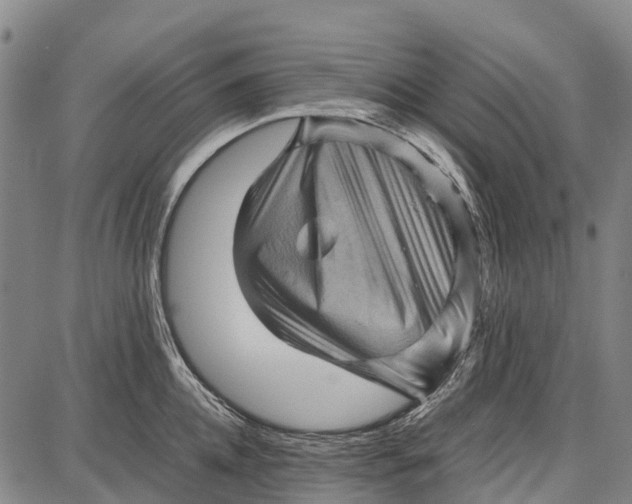 X0000087050952200705091132