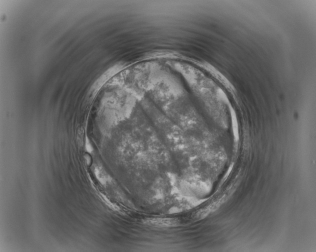 X0000087050953200705091132