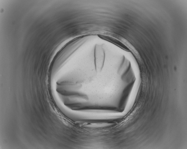 X0000087050956200705091132