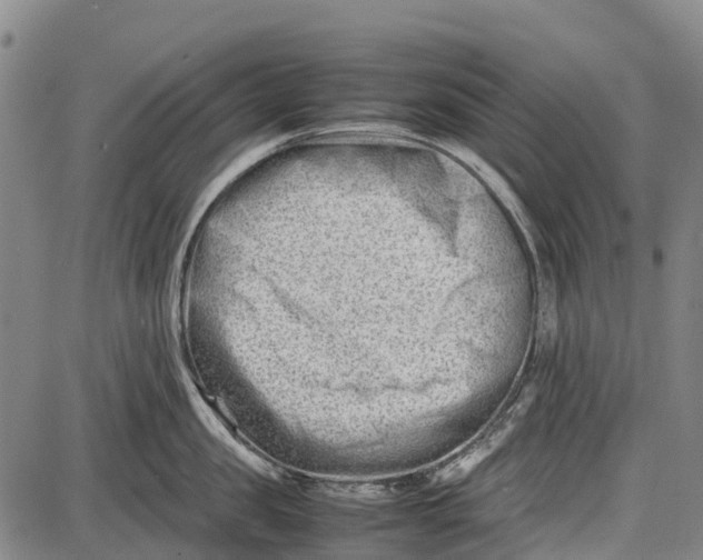 X0000087050957200705091132