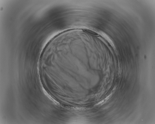 X0000087050958200705091132