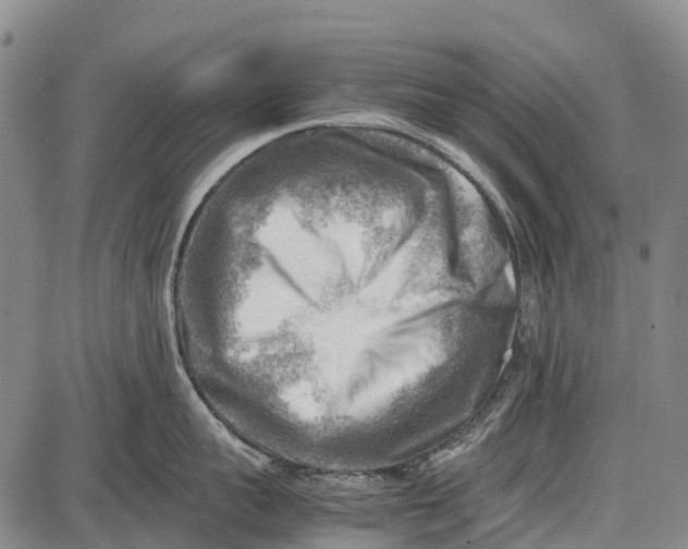 X0000087050959200705091132