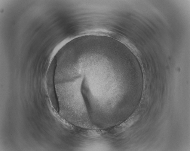 X0000087050960200705091132