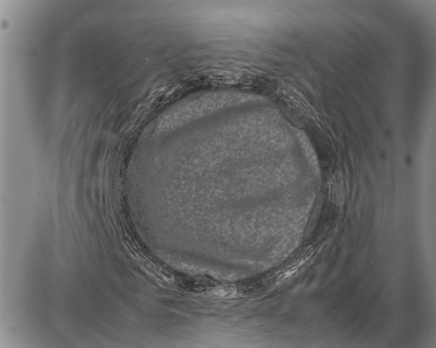 X0000087050961200705091132