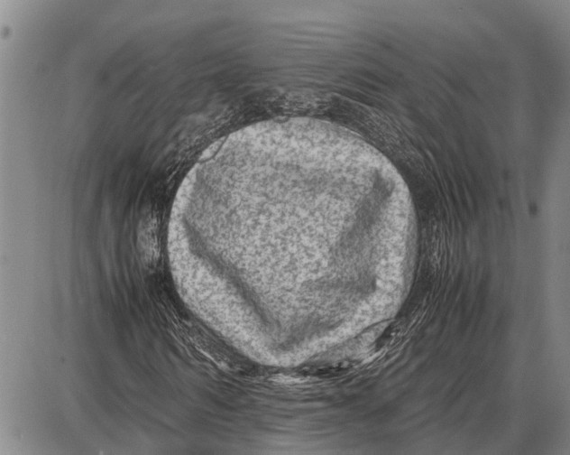 X0000087050962200705091132