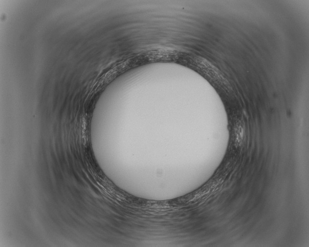 X0000087050964200705091131