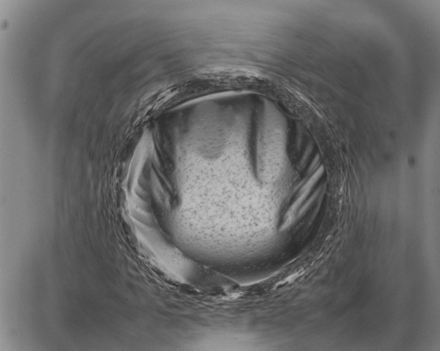 X0000087050965200705091131