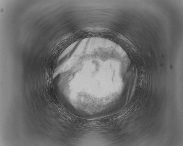 X0000087050966200705091131