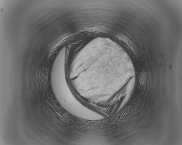 X0000087050968200705091131