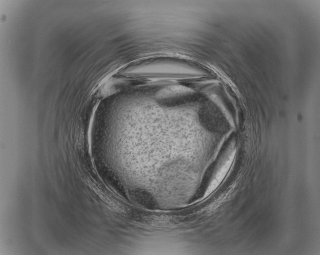 X0000087050969200705091131