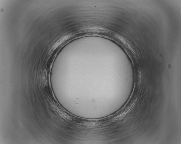 X0000087050970200705091131