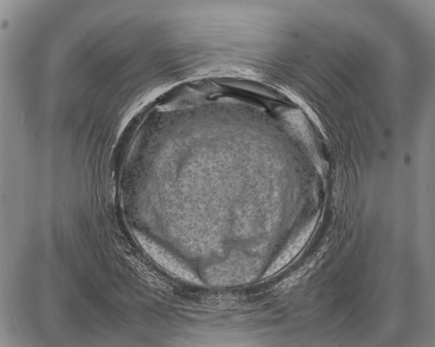 X0000087050973200705091131