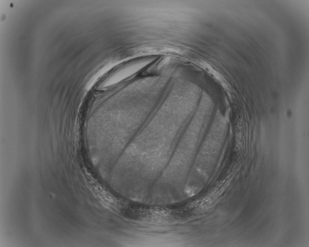 X0000087050975200705091131