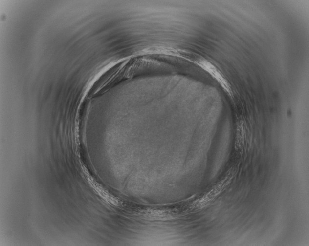 X0000087050976200705091131