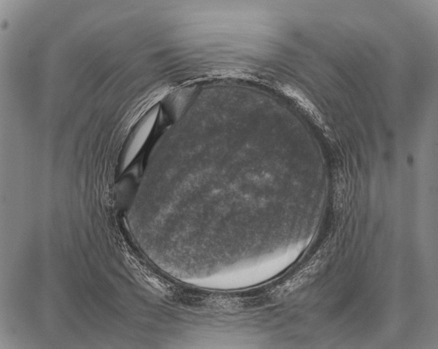 X0000087050977200705091131