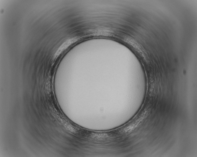 X0000087050978200705091131