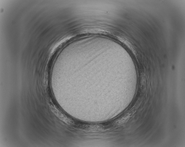 X0000087050979200705091131