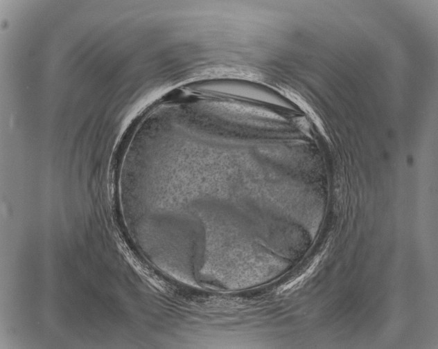 X0000087050981200705091131