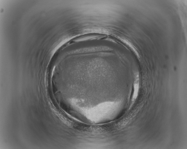 X0000087050983200705091131