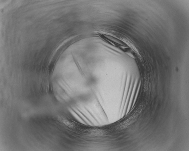 X0000087050984200705091131