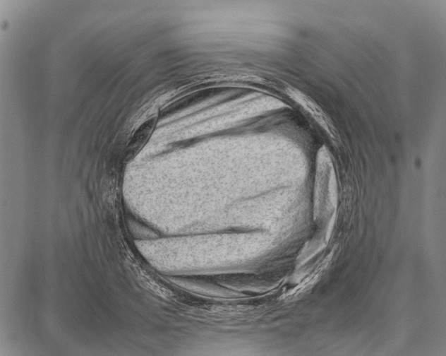 X0000087050985200705091131