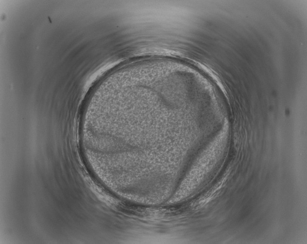 X0000087050987200705091131