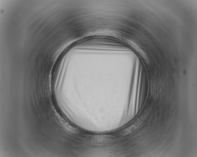 X0000087050988200705091131