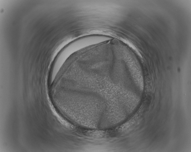 X0000087050991200705091131