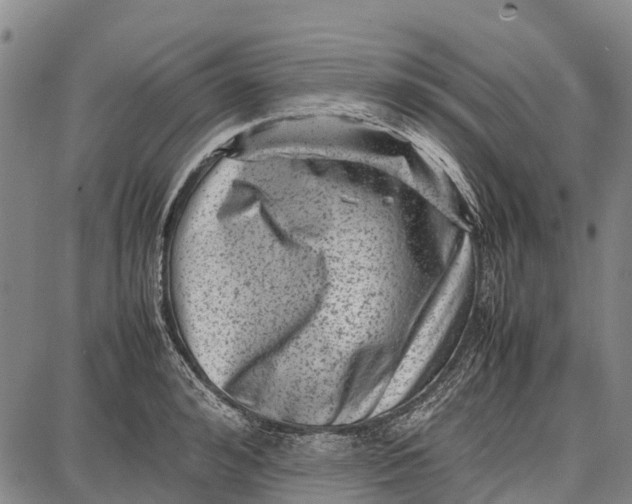 X0000087050992200705091131